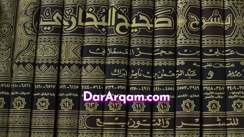 Dar Arqam - Best Online Quran Classes
